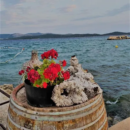 Apartment Otok